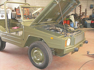 Iltis